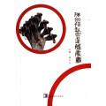 THE THIRD POETRY AWARDS COLLECTION